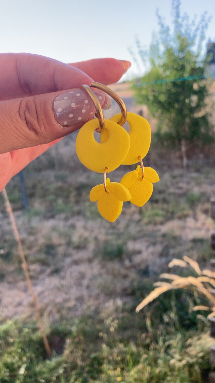 Citrons