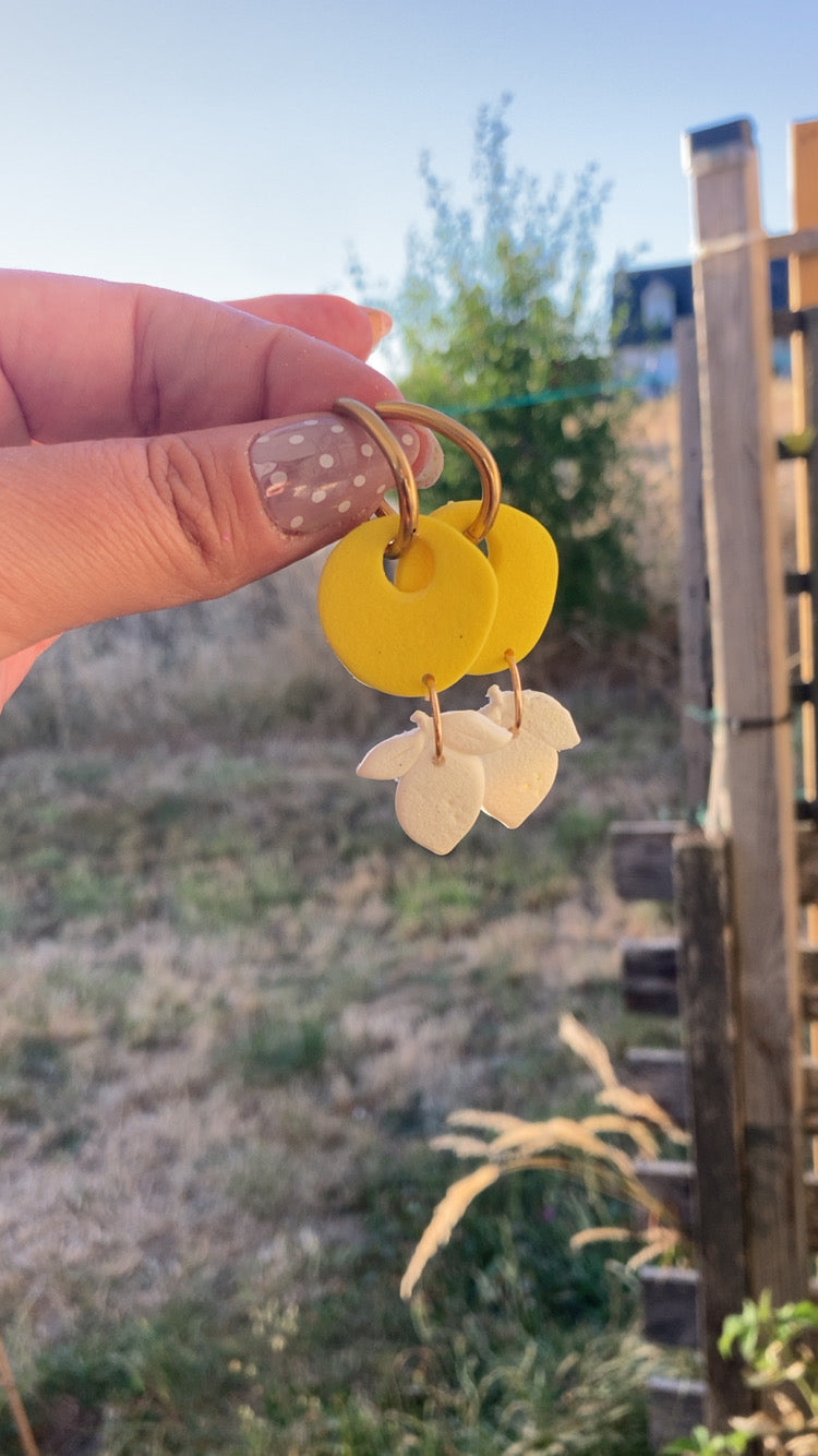 Citrons